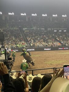 Kaique Pacheco tries to ride Lapua during the PBR event this past weekend in Oklahoma City, but is bucked off. (Photo by CLAYTON FLETCHER - ETBLITZ.COM)