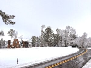 TUPELO SNOW
